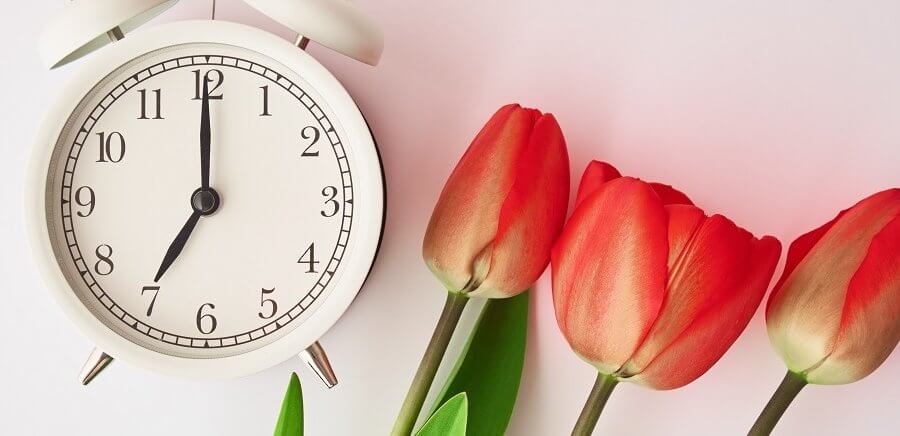 alarm clock with tulips
