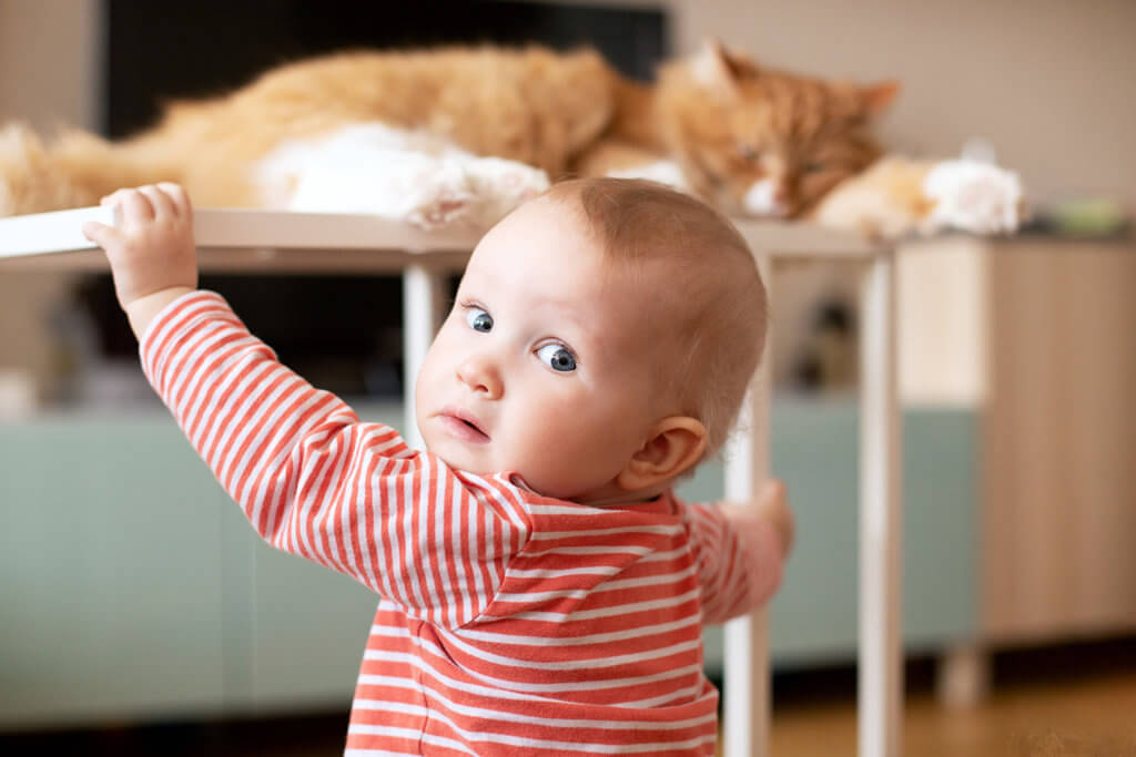 How to Introduce Your Baby to Your Pet WFMC Health