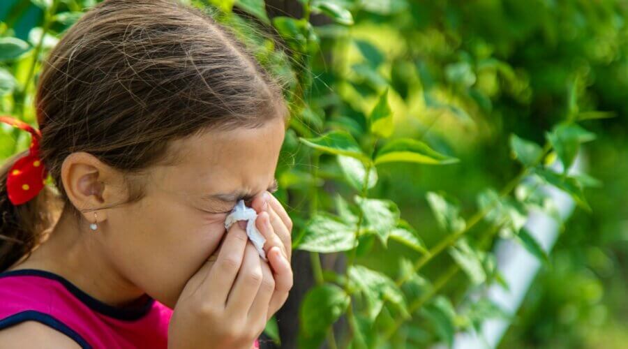 Childhood Allergies WFMC Health 1